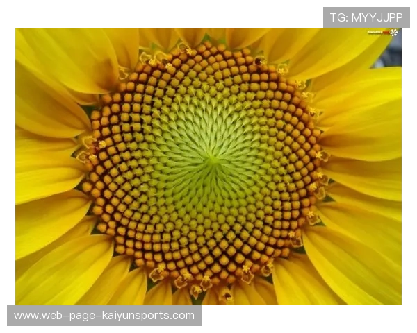 ð¦-¦ÀÞ+±¦=¦· ð¦-¦ÀÞ+±¦=¦·